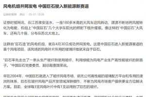 时报：风电机组并网发电 中国AG庄闲驶入新能源新赛道